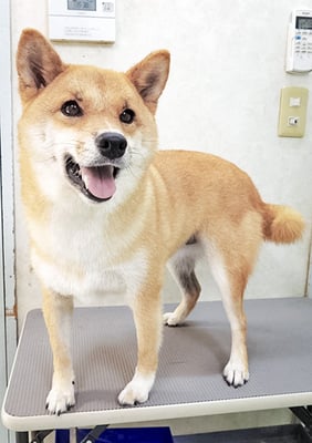 森崎アズキちゃん