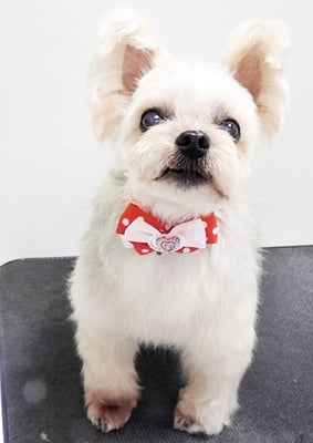 岡元ベリーちゃん