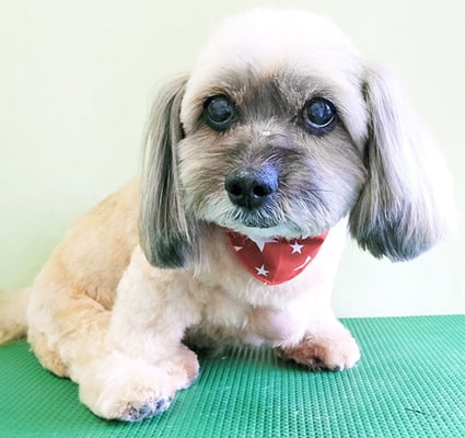 菱田リリちゃん