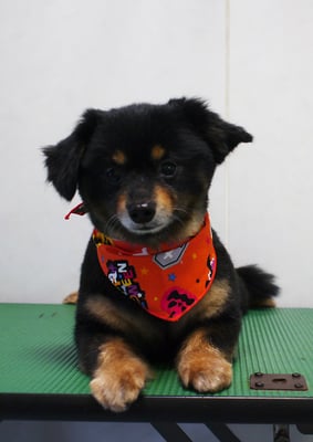 仮屋崎リュウちゃん