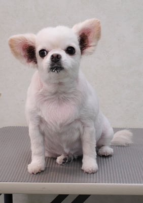 森崎ヒメちゃん