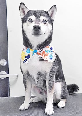 岩﨑レイちゃん