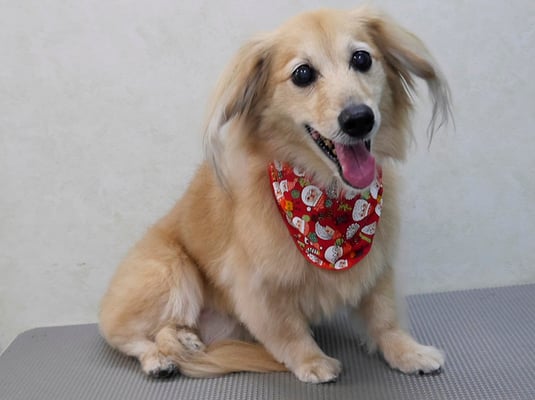 江口エルちゃん