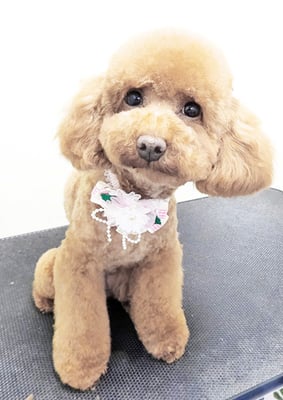 森田ココちゃん