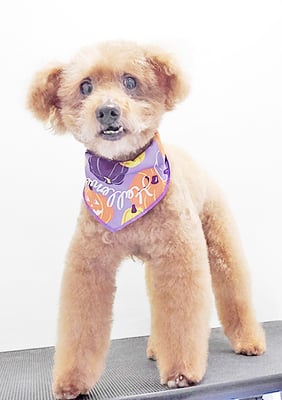 前田ソルファちゃん