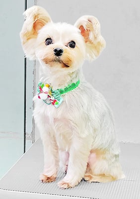 源川源之介ちゃん