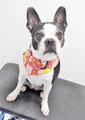 永松シーちゃん