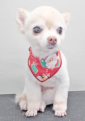 作島うみちゃん