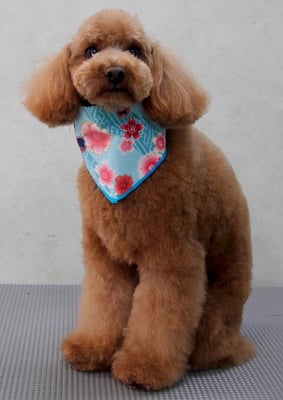 森田諭吉ちゃん