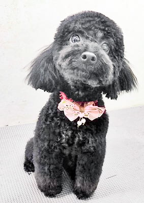 野口サニーちゃん