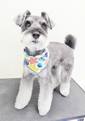 糸山そらちゃん