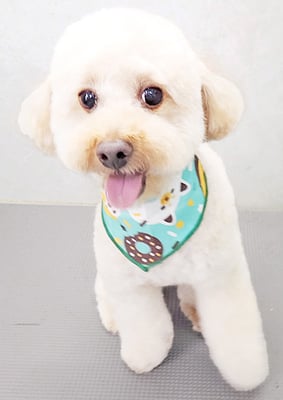 藤久保くうたちゃん