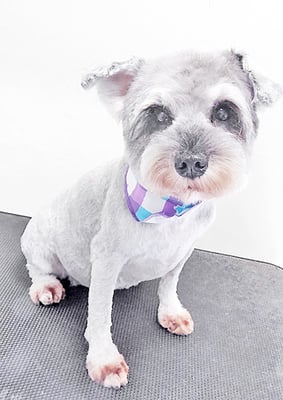 新田つむぎちゃん