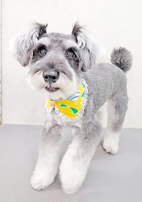 糸山そらちゃん