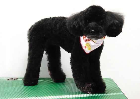 中井ヒナちゃん