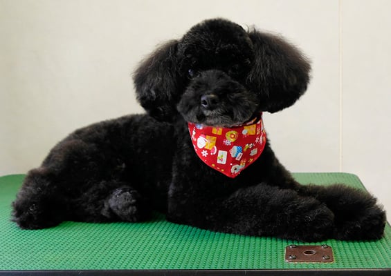 中井ヒナちゃん