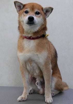 大井ジュンちゃん