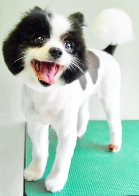 森崎マリアンちゃん