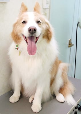 森本アンズちゃん