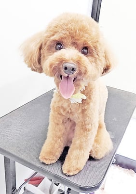 大山弦之介ちゃん