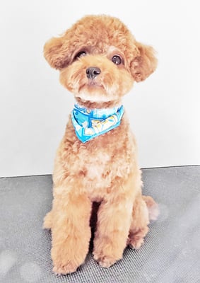 二見りくちゃん