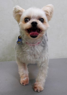 岡元ベリーちゃん