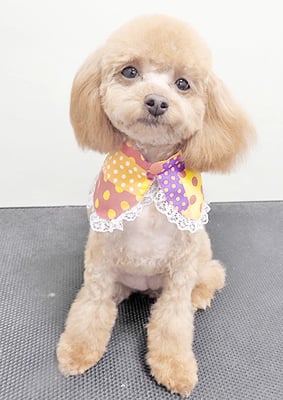 岩元ナノちゃん