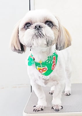 久永ナルちゃん