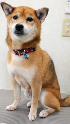 大井ジュンちゃん