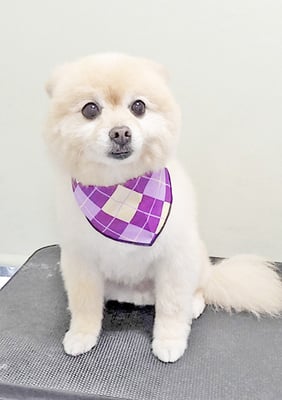 徳留クマちゃん