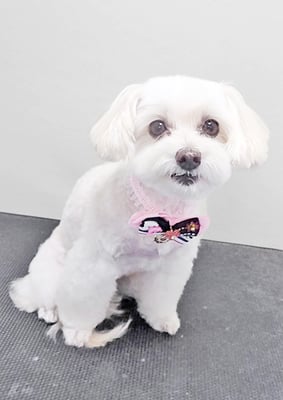 濱島クレアちゃん