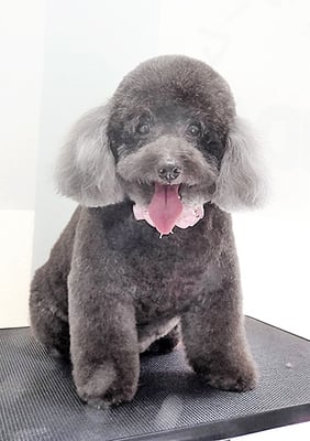 山口クレアちゃん