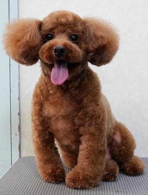 迫田リクちゃん