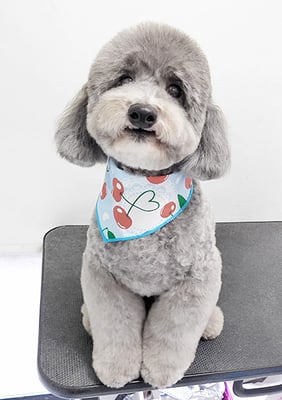 橋口最中ちゃん