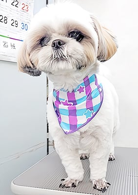 久永ナルちゃん