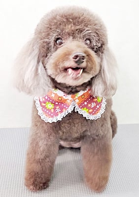 山口クレアちゃん