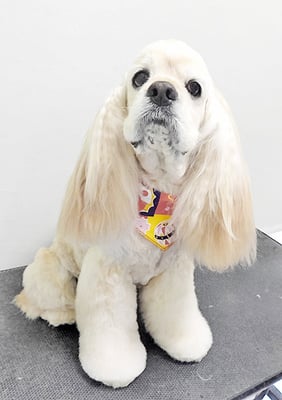 福富ベリーちゃん