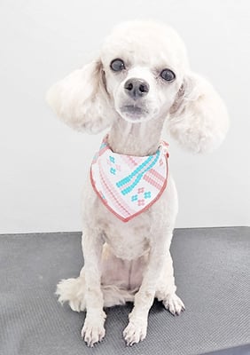 新留モコちゃん