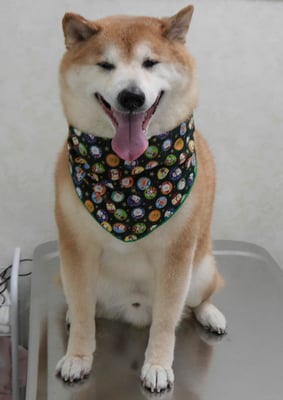 竹崎クウちゃん