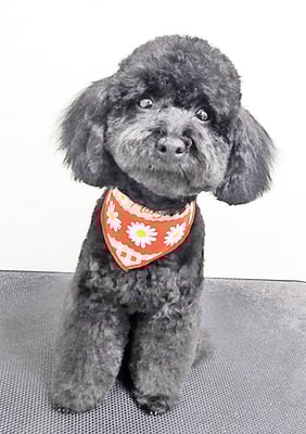 野口サニーちゃん