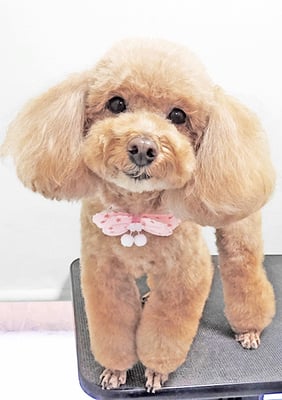 富永モカちゃん