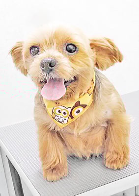 冨松すももちゃん