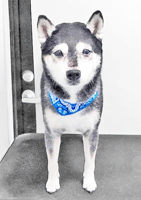 岩﨑レイちゃん