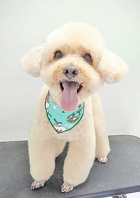 松田めろんちゃん