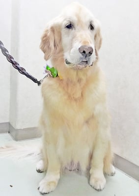 美代ジューンちゃん