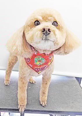 冨永モカちゃん