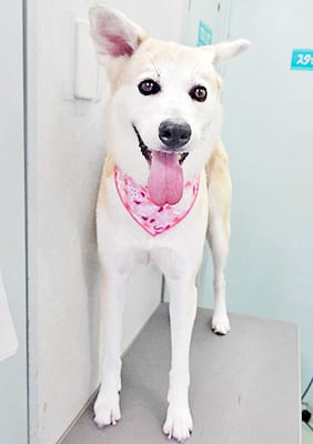 富永リリーちゃん