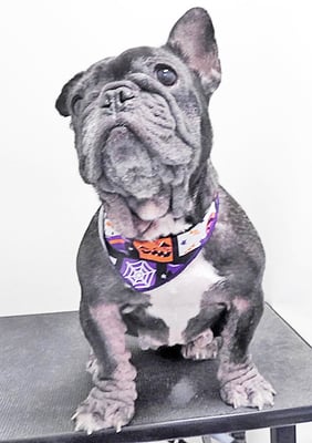 岸下すももちゃん