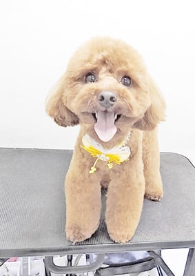 大山弦之介ちゃん