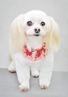 大脇ココアちゃん